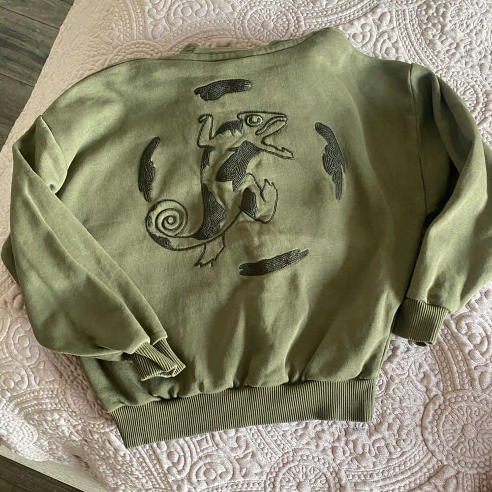 Nike SB Agnostic Hoodie - Picture 8 of 8